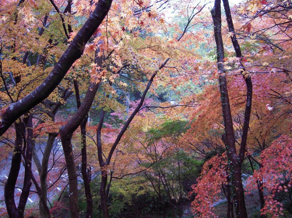 a!Heart supercar 012.jpg